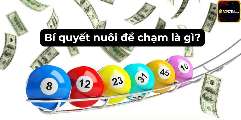 Bí quyết nuôi đề chạm là gì?