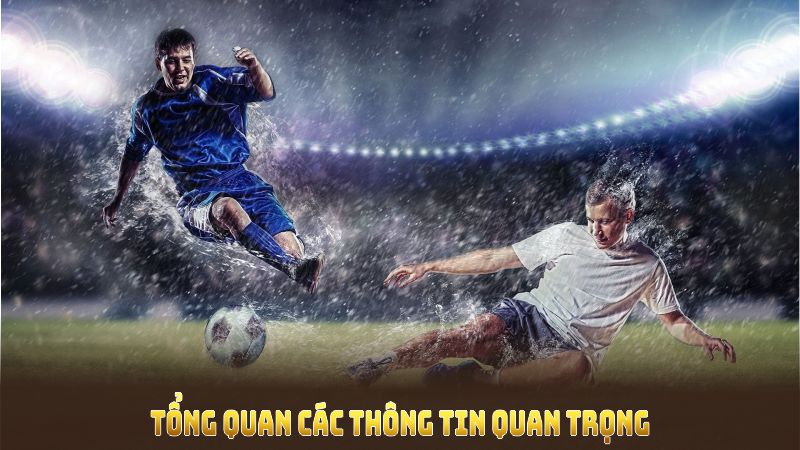 Tổng quan các thông tin quan trọng về sảnh thể thao 33WIN